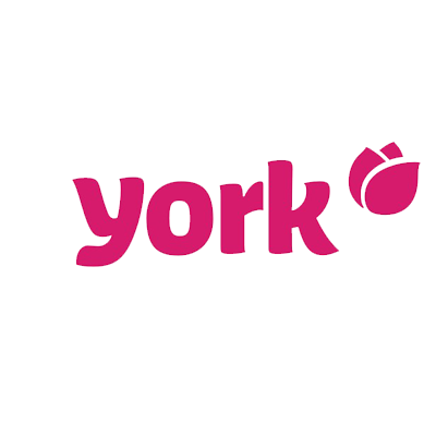 Dynamic Sales – York